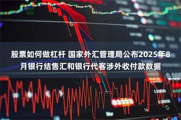 股票如何做杠杆 国家外汇管理局公布2025年8月银行结售汇和银行代客涉外收付款数据